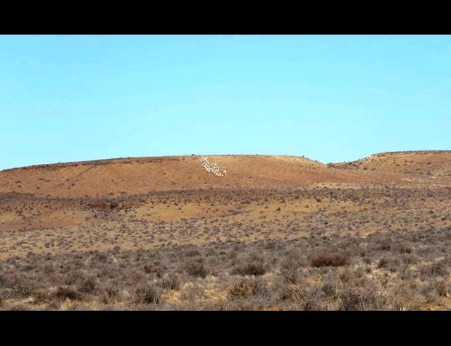 5,850HA FARM FOR SALE IN CALVINIA RURAL